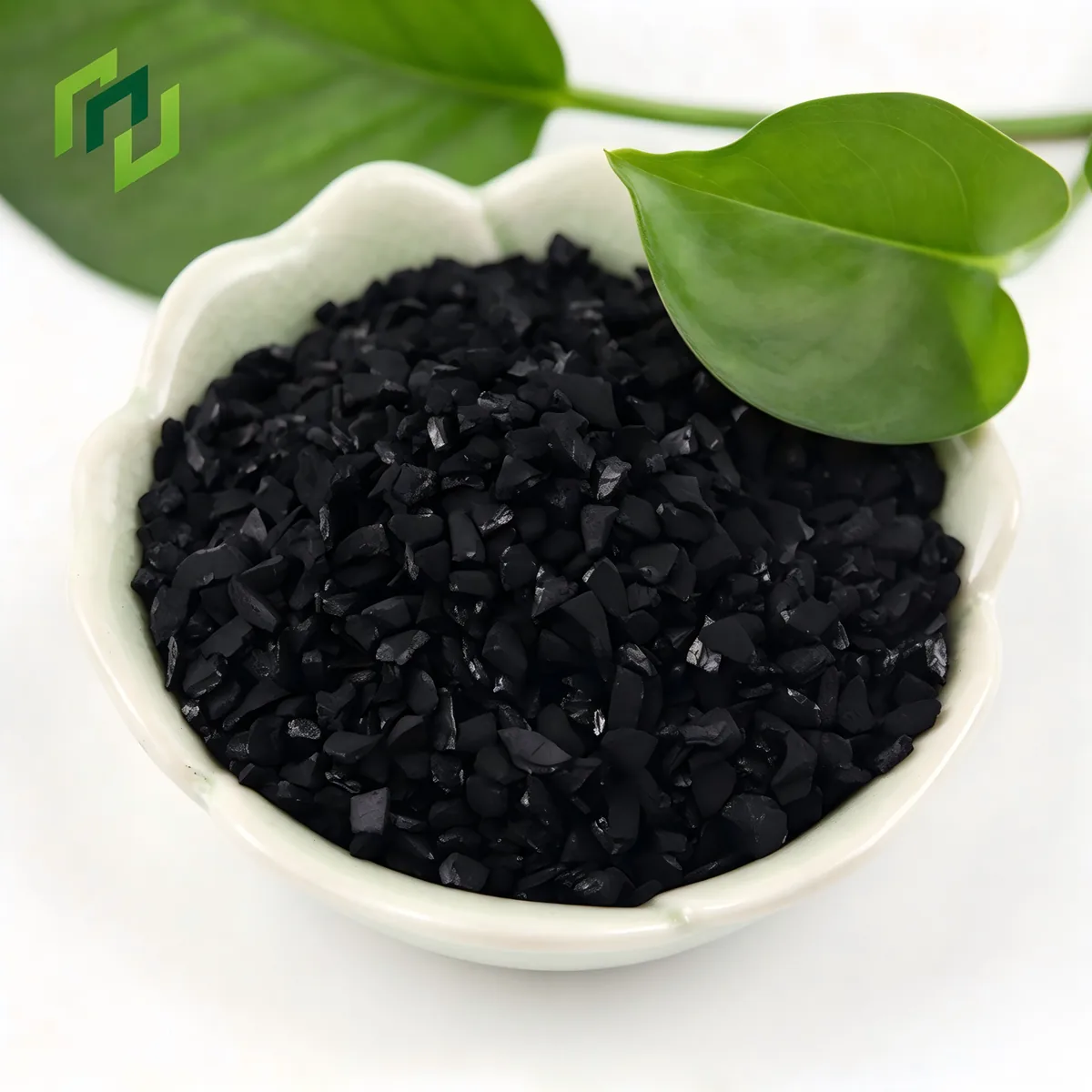 Coconut Shell vs. Coal-Based Activated Carbon